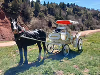 Horse (M), Horses — photo 8