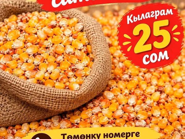 Дроблёная кукуруза (укаланган мака) - Натуральные кукурузные зёрна