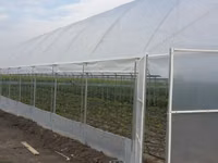 Vindem constructie module de sera solar cu pereti drepti — Foto 2