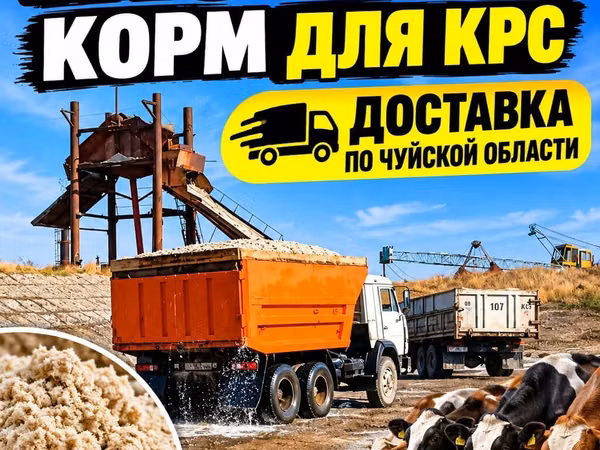 Жом — корм для КРС. Отгрузка самосвалами 16–18 тонн. - Питательный