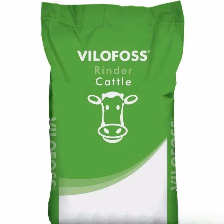 Vilofoss buqalarga va sigirlarga