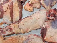 母牛, Cattle — 照片 2