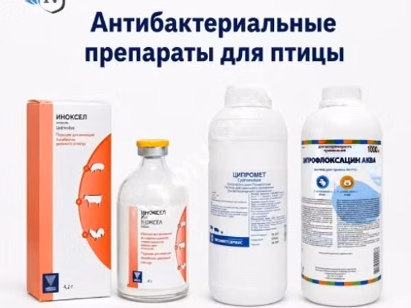 Антибактериальные препараты для птицы
