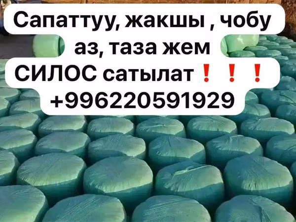 СИЛОС сатылат❗️❗️❗️ 10с кг Силос в тюках (вакуумная упаковка