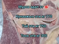 Халал мясо “Мурок” (Бишкек) - Говядина/телятина: конина? На фото — foto 1