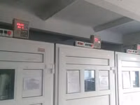 Адлер күміс — 1-сурет