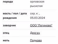 فرس, Orlov Trotter — الصورة 5