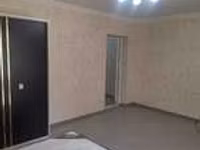 خنزير ذكر, الخنازير — الصورة 3