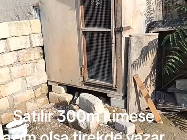 Taxta toyuq/kənd quşları üçün daxıl - Material: qalın taxta və metal