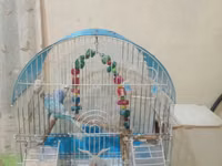 Erkey ve dişi — сүрөт 3