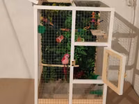 Papuqay,dovşan,hamster,şinşila,bildirçin,cücə,xamyak,pişik,quş,tısbağa — сүрөт 3