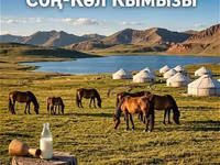 Кымыз, саамал, В розницу, Бесплатная доставка — Foto 2