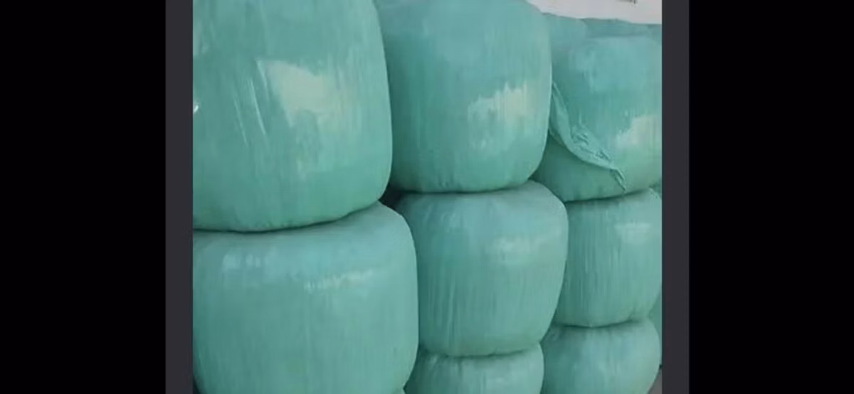 Силос в рулонах СЕЛО АРЧАЛЫ (силосные тюки в стрейч-пленке) -