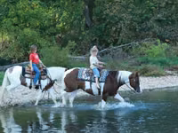 Айғыр, Quarter Horse — 8-сурет