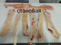 Становая жила — الصورة 2