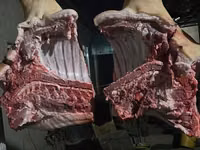 Schweine (Partie, Geschlecht nicht angegeben) — Foto 1
