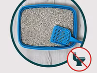 Royal cat litter — Foto 5