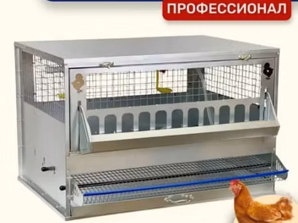 Клетка для кур-несушек «Профессионал» (1 ярус, до 10 голов)