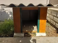 Taxta it evi - Material: möhkəm taxta korpus, yanları boyalı; üst — Foto 1