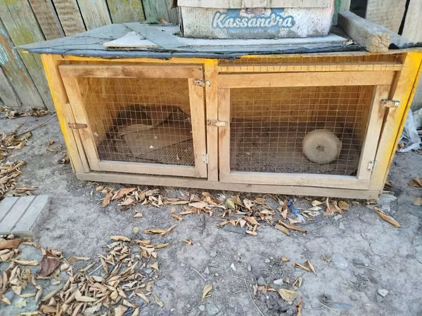 Продаю курятники