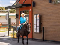 Toychoq, Percheron — 3-rasm