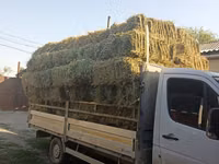 Клевер аралаш доставка есть цена 270с — Foto 1