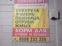Ячмень — 4-rasm