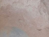 Улпак отруби — сүрөт 2