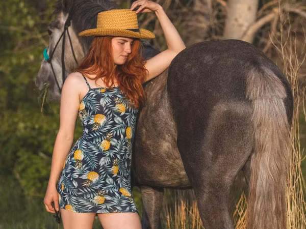 Hengst, Altai horse