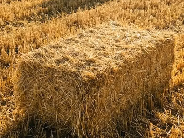 Продаю!
Тюки соломы!
Тюки плотные, сухие лежат под навесом!