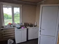 Kuh, Bukowiner Fabriktyp der rot-gescheckten ukrainischen Kuh — Foto 4