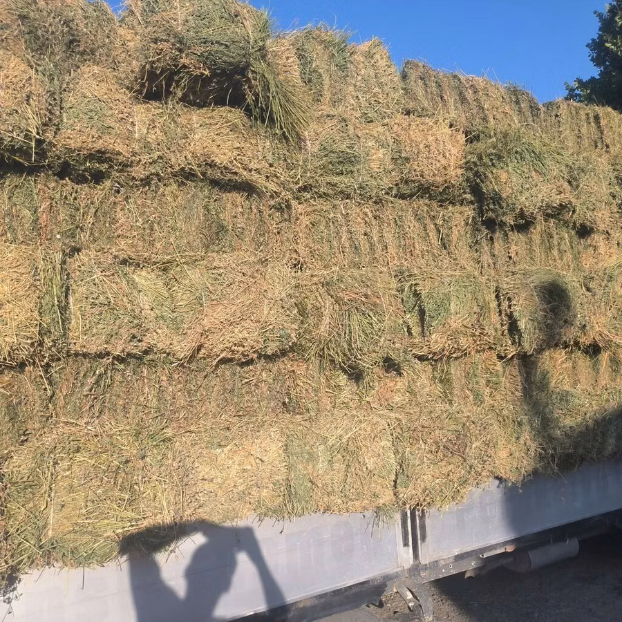 Тюки 2 укос