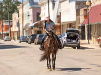 Mare, Quarter Horse — photo 2