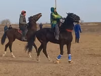 Жылқылар (топ, жынысы көрсетілмеген), Жылқылар — 1-сурет