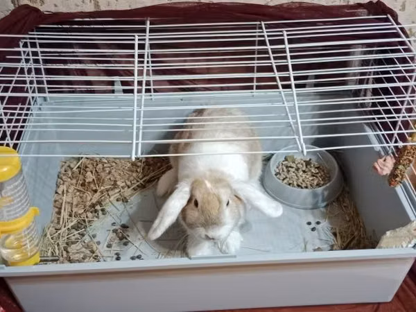 Продам большую клетку для грызунов