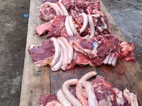 Yegua, Caballos — foto 6