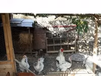 براهما — الصورة 2
