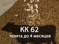 Комбикорм-концентрат для телят (гранулированный) — сүрөт 3