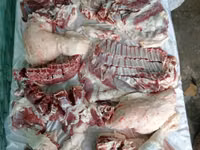 كبش, Rhon sheep — الصورة 6