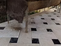 Qoʻy, mol va chorva uchun omuxta yem idish, oxur sotiladi, uzunligi 2m — Foto 3