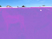 Ат, Аттар — сүрөт 6