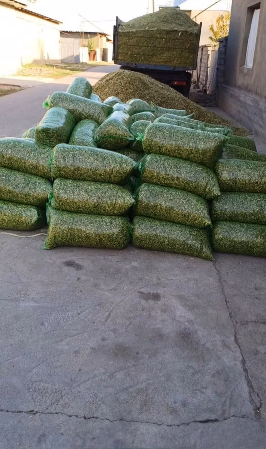 Selosss 17 000 DAN 20 kg