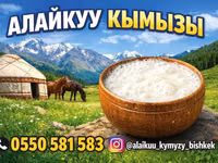 АЛАЙКУУ КЫМЫЗЫ 
100% таза тоонун кымызы — Foto 3