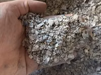 Ракушка серая в мешках — 2-rasm