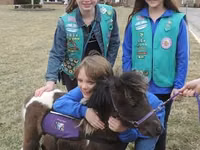 حصان, Miniature horse — الصورة 1