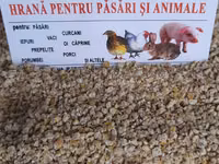 Nutrețuri granulate pentru:păsari și animale.posibel livrare. — الصورة 4