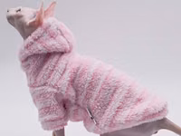 Pişiklər üçün yeni hipoallergen geyimlər — сүрөт 1