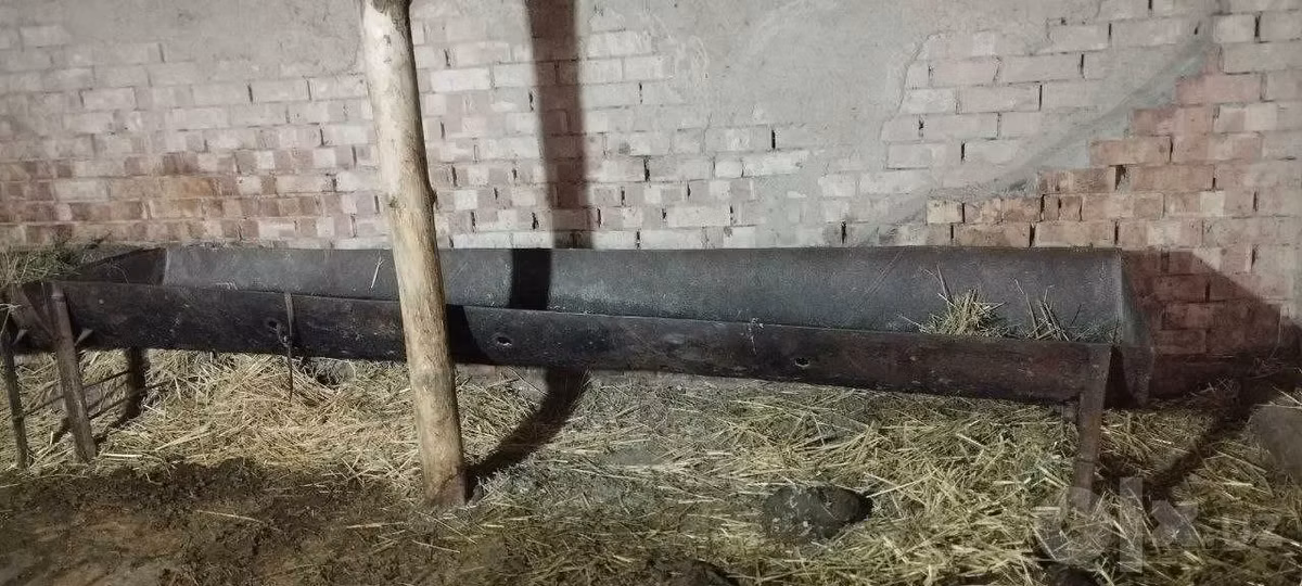 Oxir mollarga va