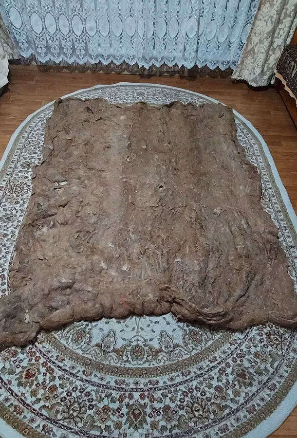 Верблюжья шерсть