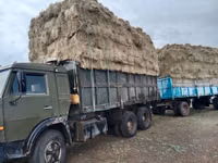 Продам сено Тюк. 15-20кг 1600тг — 1-rasm